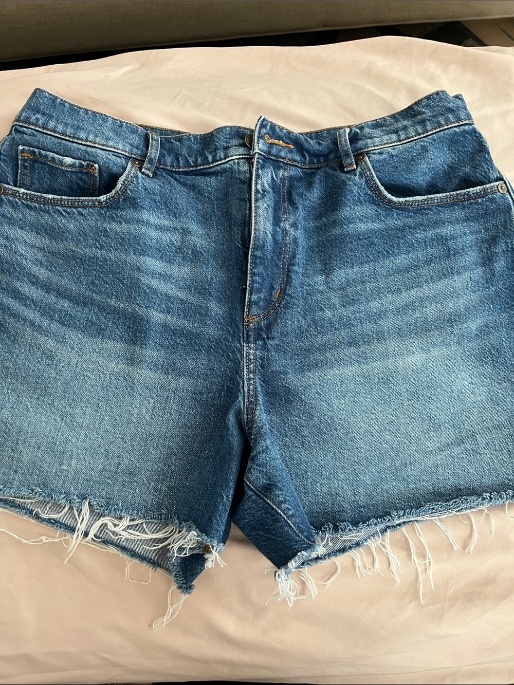 LOFT Blue Denim Jean Shorts with Frayed Hem
